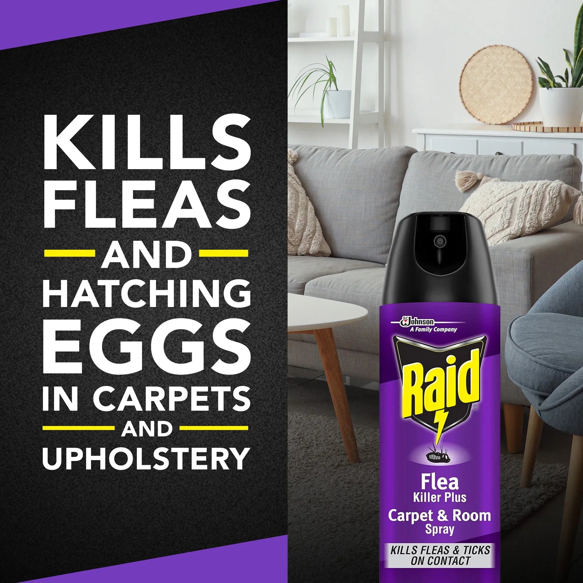 Raid Flea Killer Plus Carpet & Room Spray, Bug Spray Kills Fleas & Flea Eggs, 16 oz - USA MEGA SHOP