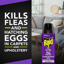 Purple Raid Flea Killer Plus carpet and room spray can with black top nozzle.
