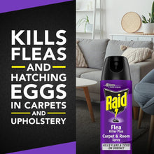 Flea carpet and room spray bottle with purple label and “Kills fleas & hatching eggs” badge