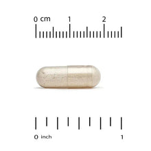 Beige oval softgel capsule shown with 0–2 cm and 0–1 inch measurement scale