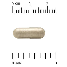 Tan capsule pill with seam, shown with 0 cm and 0 inch measuring scale