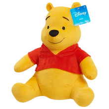 Winnie the Pooh plush bear in red hooded shirt, close-up face with tag