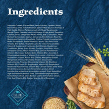 Dog food bag with ingredient text and kibble pieces