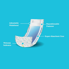 Disposable dog waist wrap diagram with adjustable waistband and super-absorbent core
