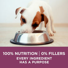 Puppy at stainless food bowl with 100% nutrition and 0% fillers banner