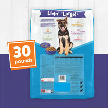 Large breed puppy chow dog food bag back panel, 30 pounds label