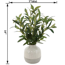 14 in indoor artificial olive plant with two-tone speckled ceramic vase