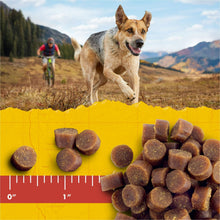 Round chewy dog training treat bites beside ruler scale on yellow panel