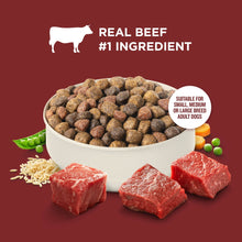 Dry dog food kibble in a bowl with beef pieces, Real Beef #1 ingredient