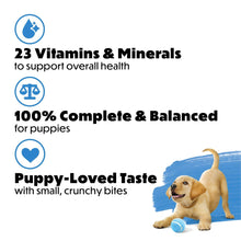 Purina Beneful Healthy Puppy bag nutrition icons: 23 vitamins and minerals for overall health