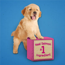 Dog training treats: golden puppy with pink cube labeled real salmon #1 ingredient.