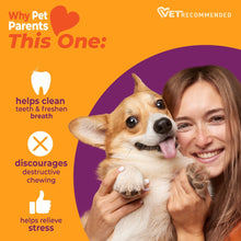 Dog being held by a woman, pet chew benefits promotional graphic