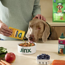 Jinx Homemades meal topper bowl with wet dog food; dog eating from a bowl