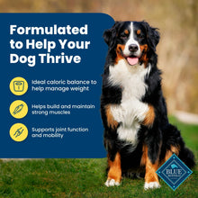 Weight-support dog food card with Bernese mountain dog