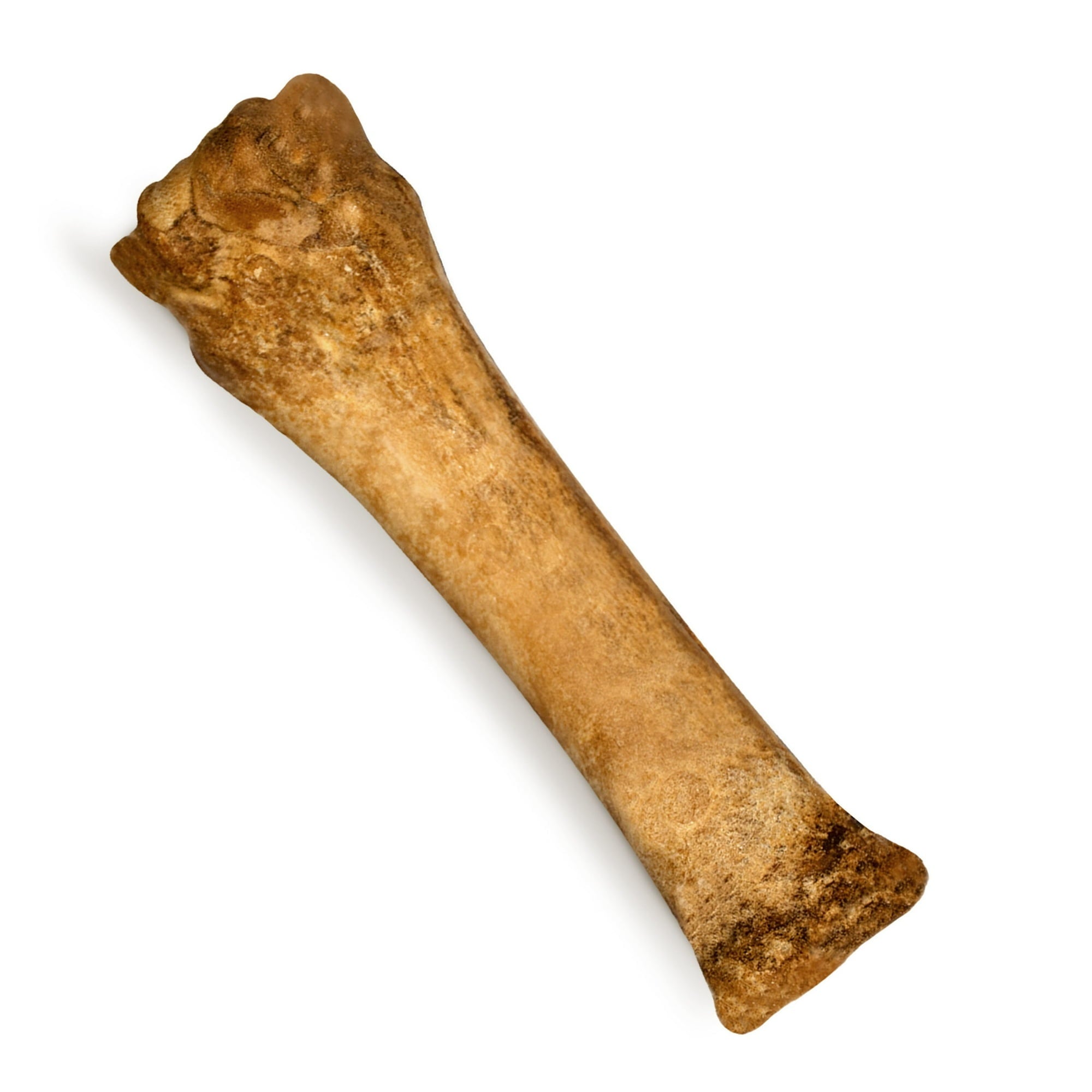 Nylabone Natural Nubz Edible Dog Dry Chew Treat, Chicken Flavor, Small