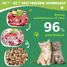 Freeze-dried pet treat infographic showing three food illustrations and cats