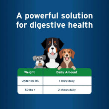 Digestive health soft chew supplement feeding guide chart with daily amount