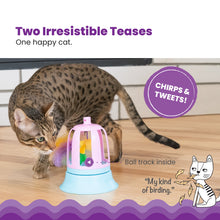 Purple interactive bird cat toy with clear dome, chirping feature, and ball track base