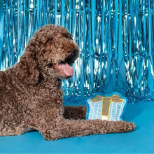 Birthday cake plush dog toy with multicolor candles and frosting details