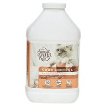 Special Kitty odor control clumping cat litter jug, 14 lb, fragrance free