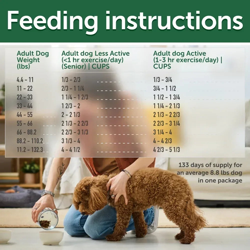 Nature's Protection Superior Care Grain Free Salmon Dry Dog Food, All Breed All Life Stages, 22 lb Bag - USA MEGA SHOP