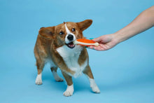 Dog chewing a Tuff Bone chew toy held by a hand; orange ribbed textured center.