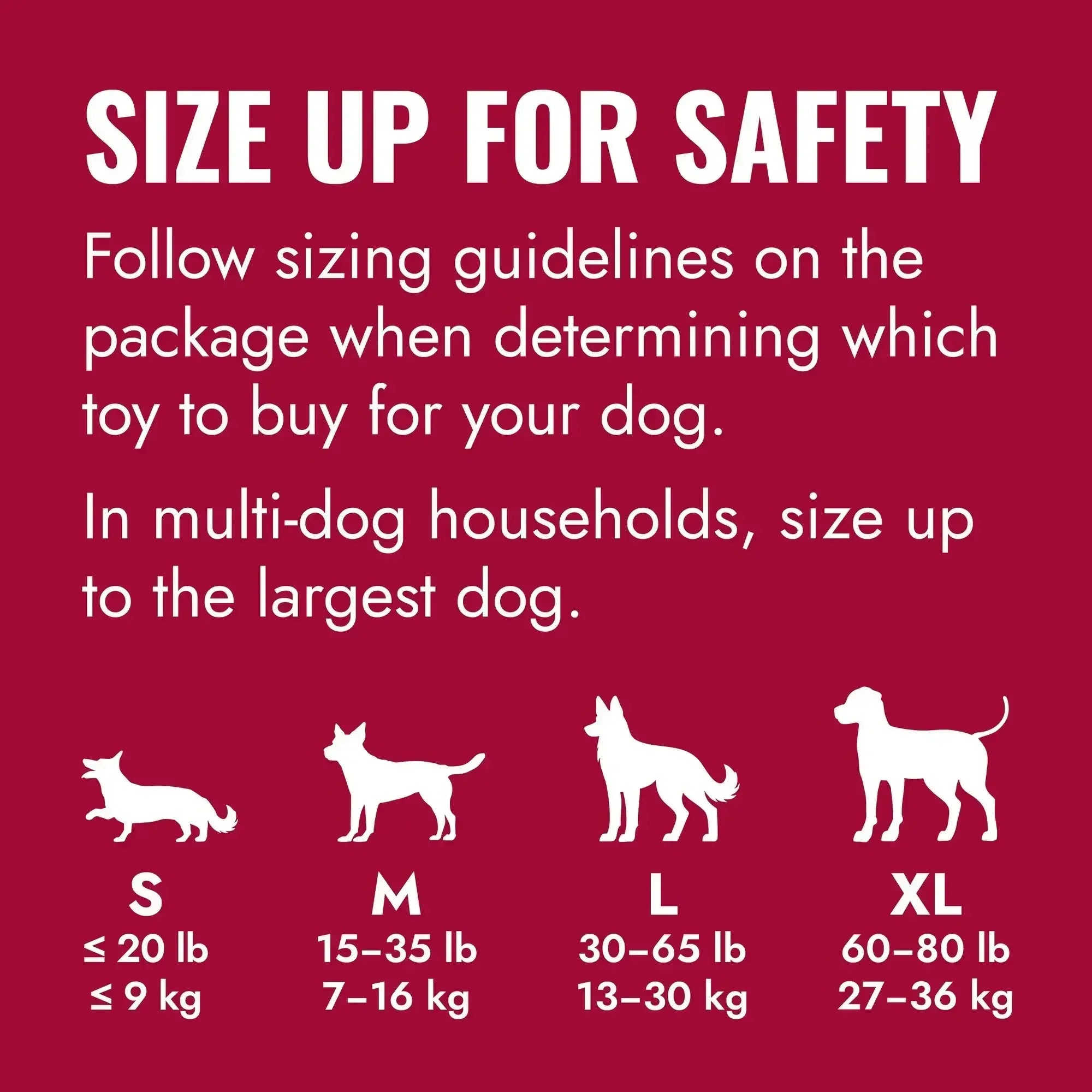 KONG® Rubber Goodie Bone for Average Chewers, Large for Dogs Between 30-65 lbs