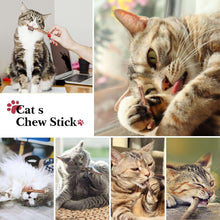 Cat toy set featuring feather teaser wand and chew stick accessory for kittens