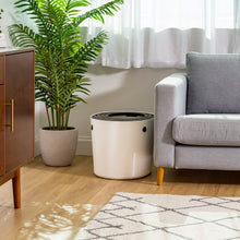 White round enclosed cat litter box with top entry on the floor near a sofa