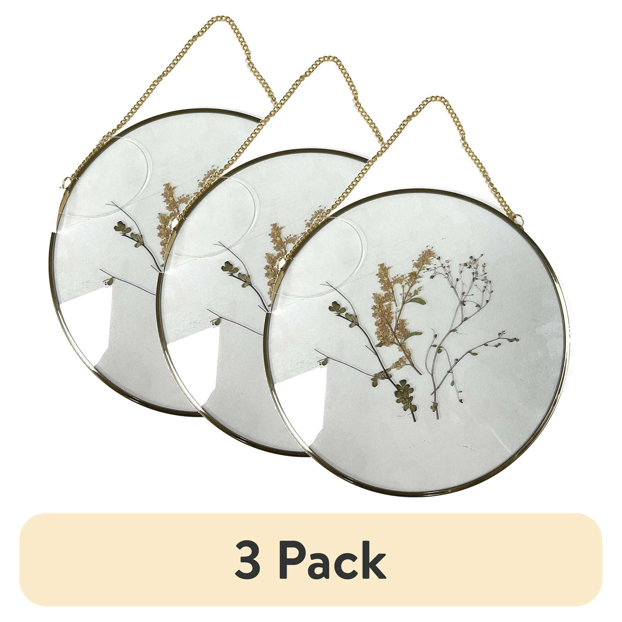 (3 pack) Mainstays Hanging Gold Circular Framed Glass Dried Pressed Floral Wall Decor, 9x9