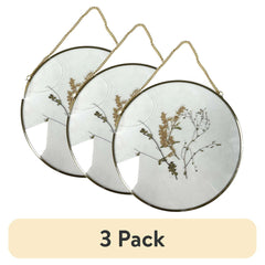 (3 pack) Mainstays Hanging Gold Circular Framed Glass Dried Pressed Floral Wall Decor, 9x9