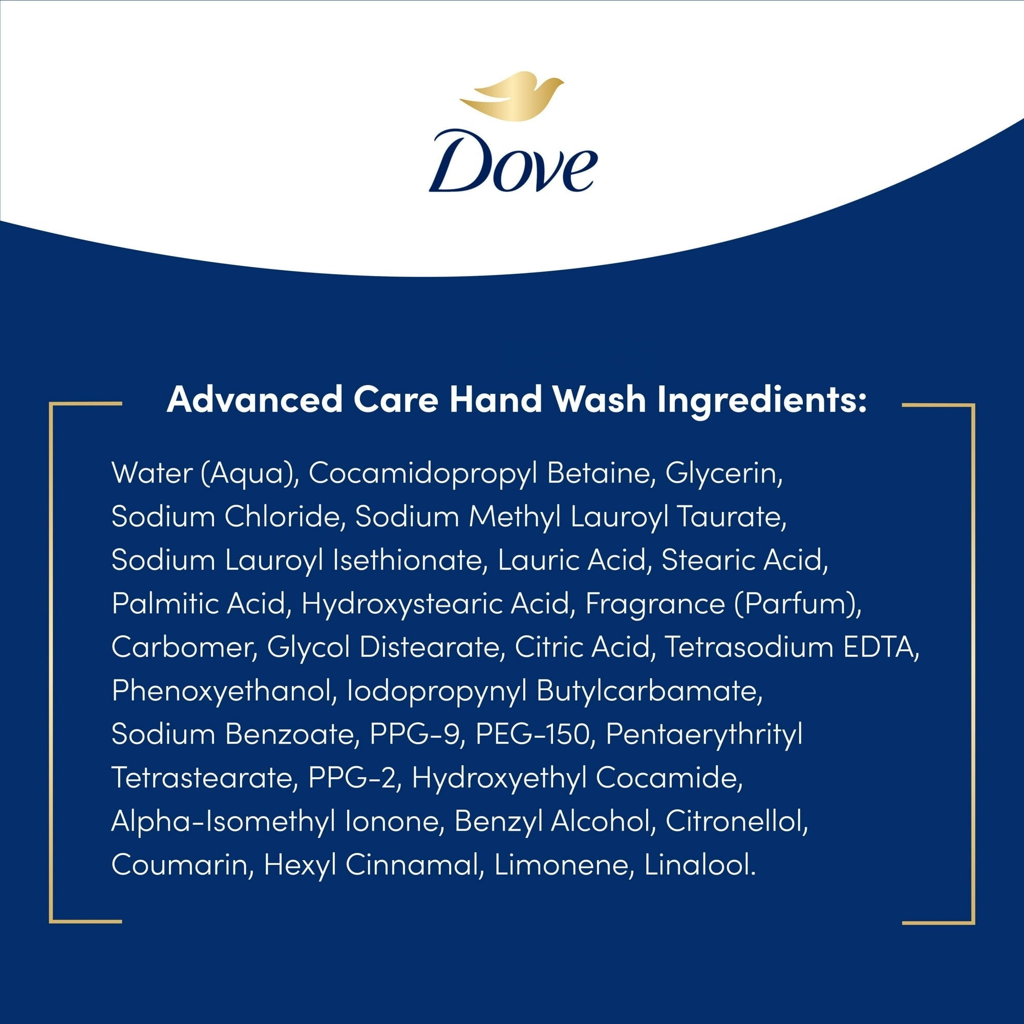 (3 pack) Dove Liquid Hand Wash Deep Moisture More Moisturizing than Leading Ordinary Hand Soap, 12 oz