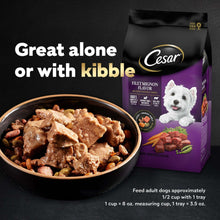 Cesar filet mignon loaf & topper in sauce wet dog food bag with bowl of food
