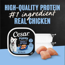 Cesar puppy wet dog food tray with chicken pieces, high-quality protein