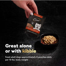 Wet dog food pouch held by a hand with a bowl of food nearby