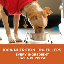 Dry dog food promotion banner with dog eating from metal bowl on stand