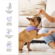 Dog wearing a purple bandana as a person offers a snack