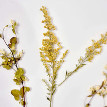 Pressed dried floral sprigs inside glass frame with gold accent rim