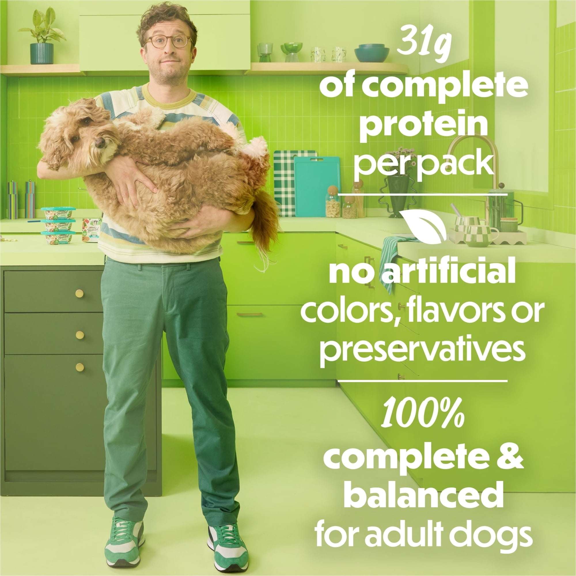 (4 pack) Purina Beneful Freshly Prepared Blends Wet Dog Food with Turkey, Sweet Potatoes, Brown Rice and Spinach, 10 oz Tub