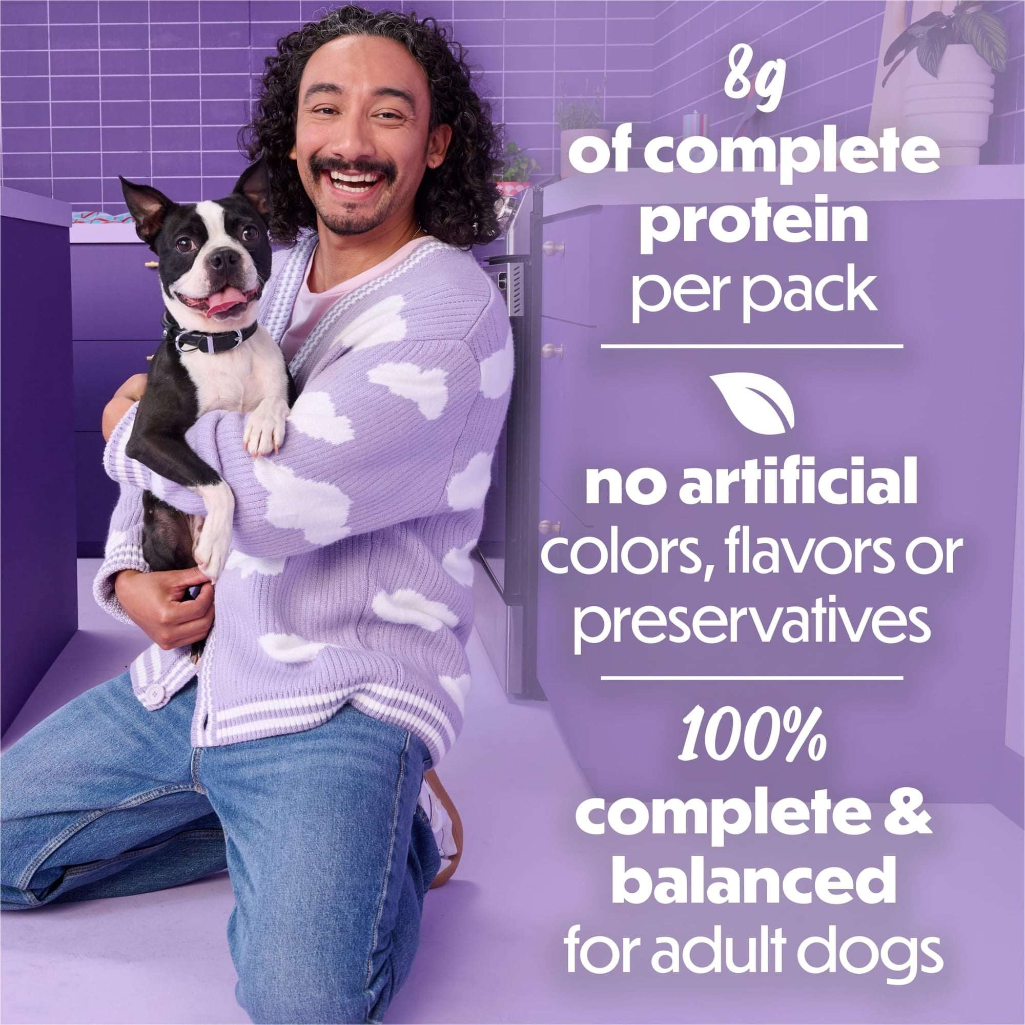 Purina Beneful Kitchen Creations With Beef and Garden Veggies in Sauce Wet Dog Food, 3 oz, 8 Pack