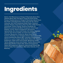 Dry dog food ingredients panel listing salmon, brown rice, and pea starches