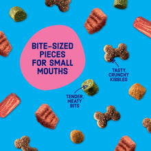 Scattered bite-sized dog kibble pieces and treats