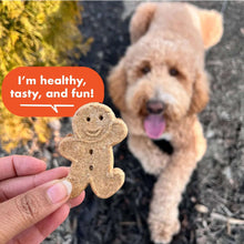 Hand holding a gingerbread-man peanut butter dog treat biscuit with a dog in background