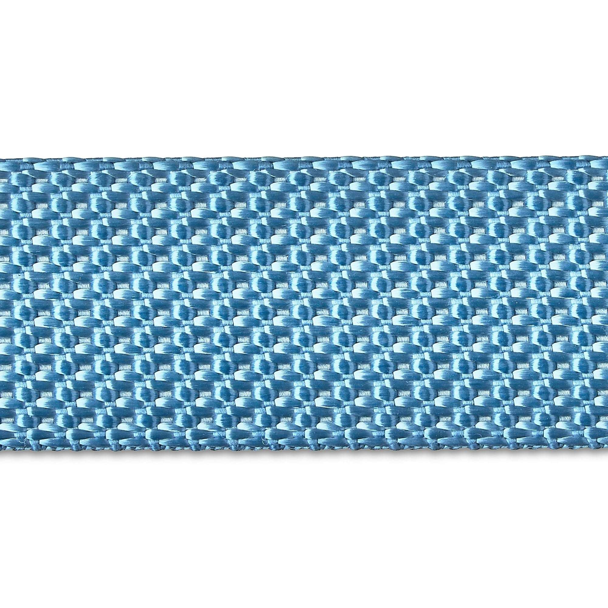 Vibrant Life Neoprene Cushioned Monochrome Leash for Medium & Large Dogs, Soft Blue, 6 ft