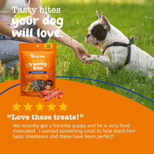 Zesty Paws training bites pouch in hand beside sitting dog outdoors
