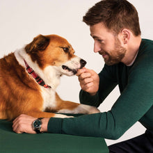 Dog eating chicken jerky bites treat