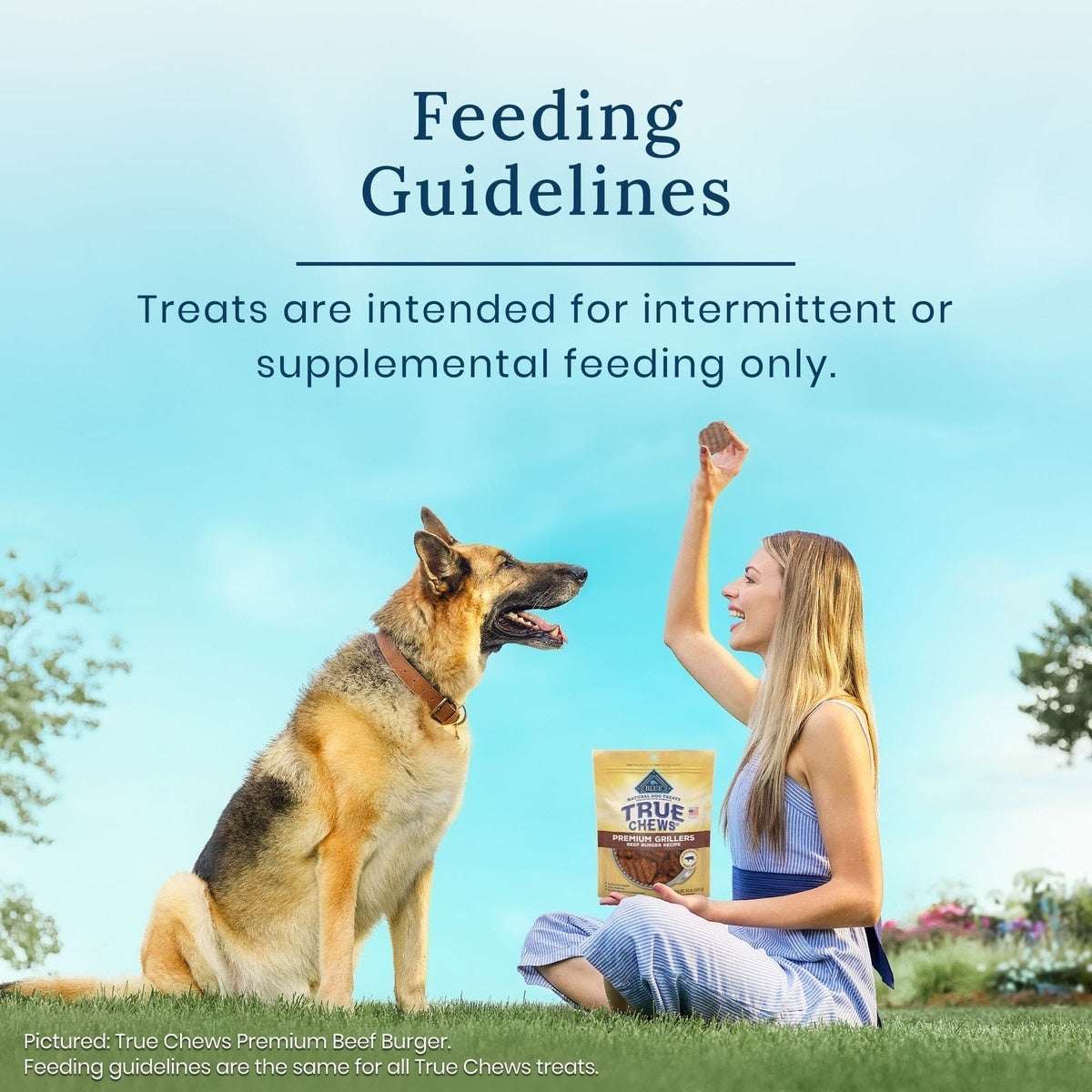 Blue Buffalo True Chews Natural Chicken & Bacon Dog Treats, 44-oz bundle