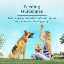 Dog and person holding a Blue True Chews treat pouch, feeding guidelines card