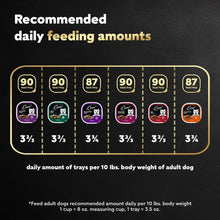 Wet dog food feeding amounts chart with tray counts and daily portions