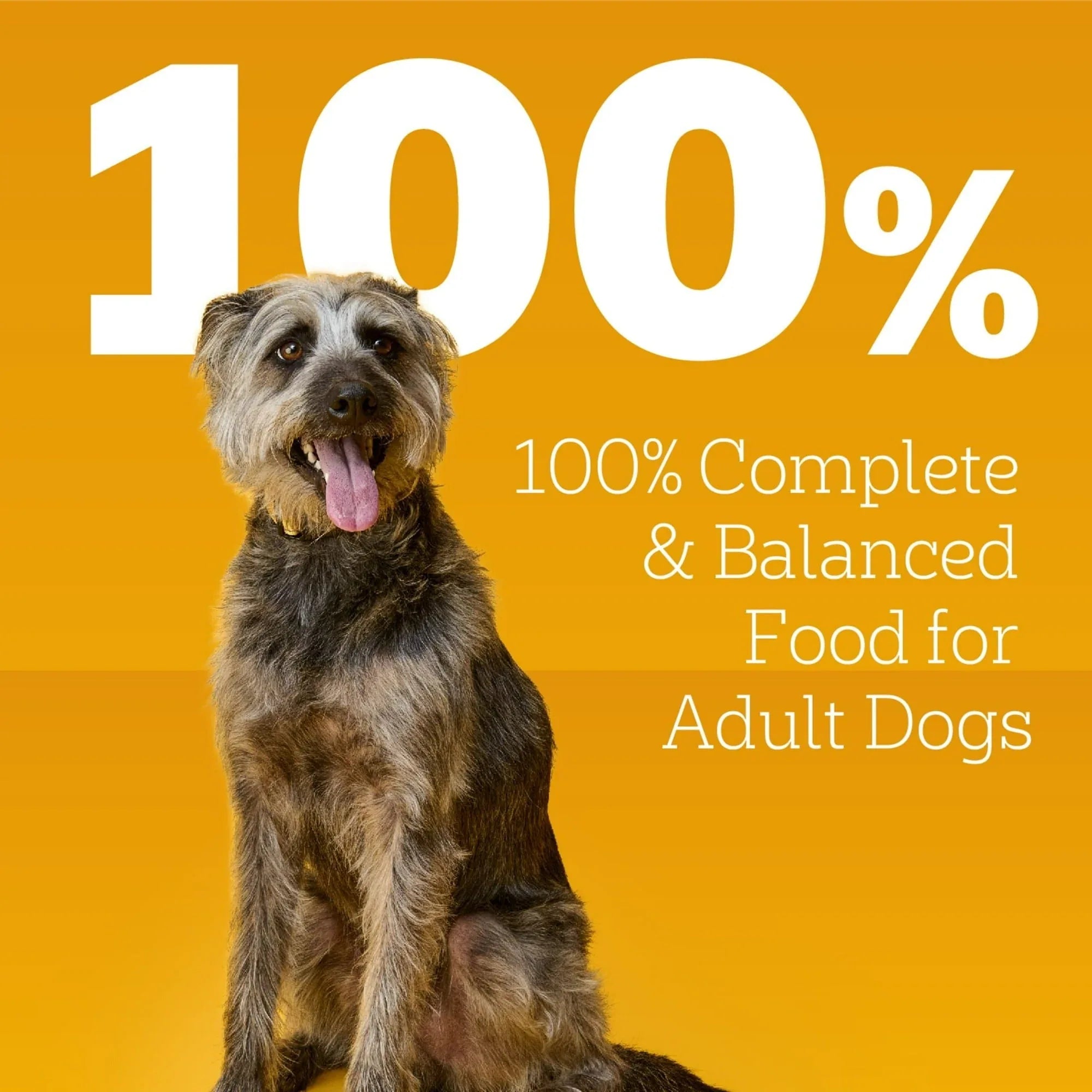 (4 pack) Pedigree Choice Cuts In Gravy With Beef Adult Canned Soft Wet Dog Food, 22 Oz. Can - USA MEGA SHOP